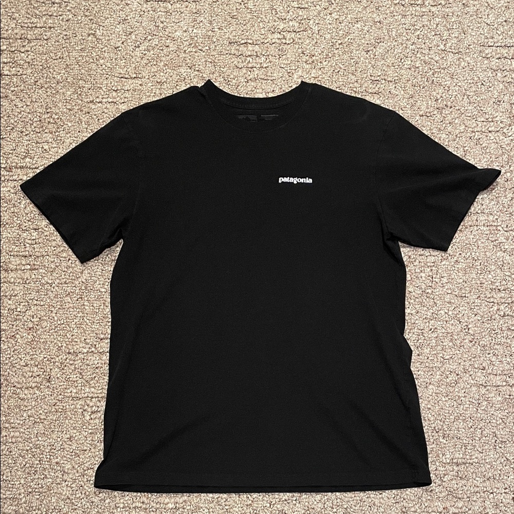 Patagonia Men's Classic Black Tee